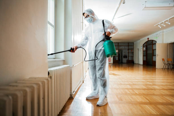 Best Insect Control  in Flying Hills, PA